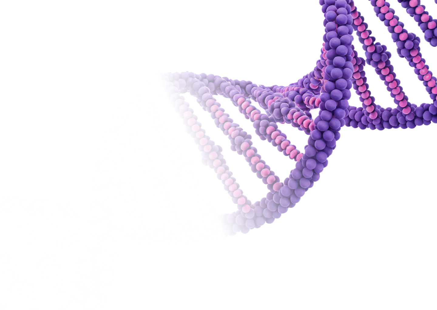 DNA Structure